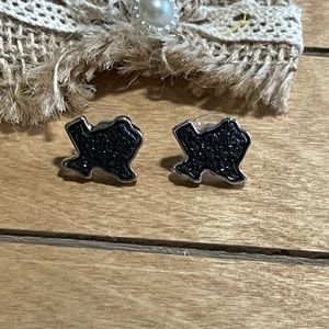 Black Druzy Texas Earrings